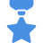 Quality Icon