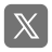 X (Twitter)
