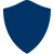 Insurance Icon