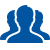 NDIS Icon