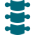 spine