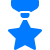 Medal Icon