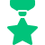 Medal Icon