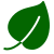 Evolvivo Leaf Icon