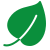 Icône