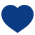 Values Icon