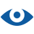 Vision Icon