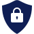 Cybersecurity Icon