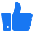 Facebook Like
