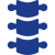 spine