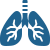 Lung Icon