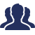 Team icon