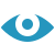 Vision Icon