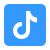TikTok Logo
