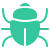Insects