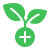 herbal-medicine