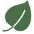 Leaf Icon