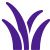 sugar cane icon