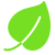Regulatory Icon