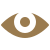 Vision Icon