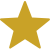 Star Icon