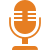 Audio Icon