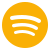 spotify-icon