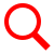 Inspection Icon