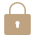SSL Icon