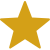 Award Icon