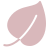 Leaf Icon