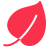 Leaf Icon