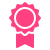 Award Icon