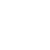 Wild Mustang