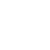 Business Flyer Icon