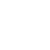 Sonnenblume