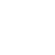 Tenis Icon