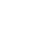 Fraud Icon