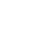 Zoom Icon