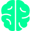 Brain Icon