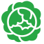 Vegetables Icon