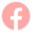 Icon Facebook hover