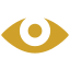 vision