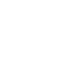 Speed Icon