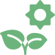 Garden Tips