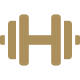 State-of-the-art Gym