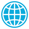Website Icon