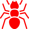 Ants