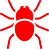 Spiders