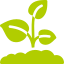 sprout